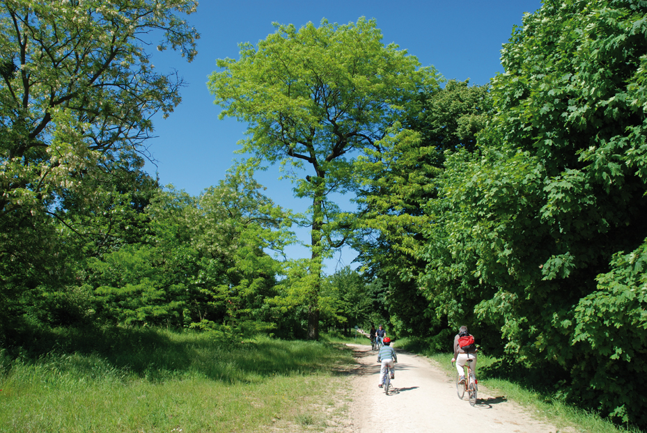 prostituée bois de vincenne