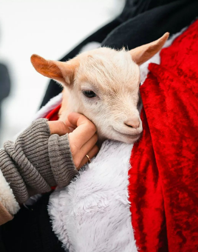 Vivez un hiver enchanteur dans les Monts de Genève - Citizenkid