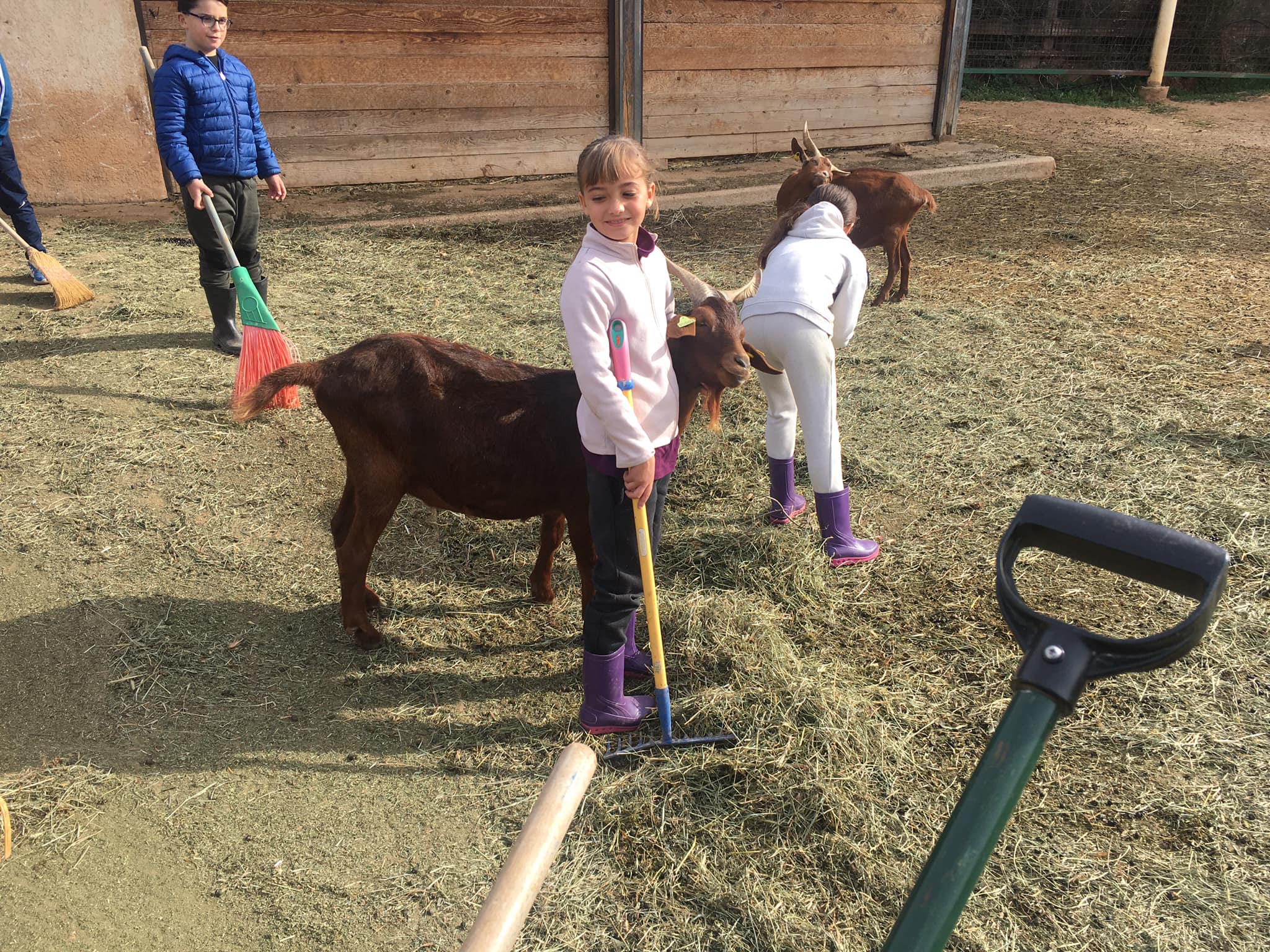 Ferme pédagogique des Pennes-Mirabeau : ateliers et animations pour les  enfants près de Marseille - Citizenkid