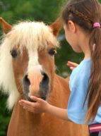 Horse Club de Bordeaux : chevaux et enfants