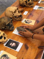 Journées européennes de l'archéologie : Analyse d'ossements